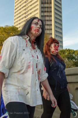 20130928-7857.jpg
