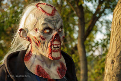 20130928-7985.jpg