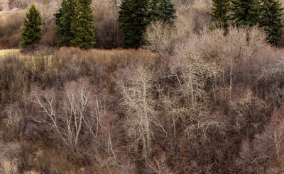 _MG_0774-Edit.jpg