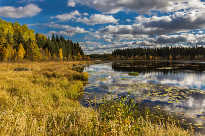 _MG_9770.jpg