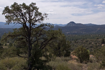 Prescott - Thumb Butte view