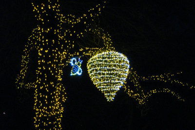 Zoo Lights