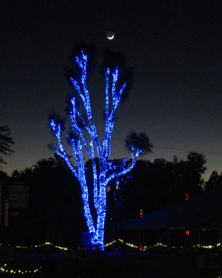 Zoo Lights