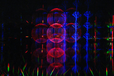 Zoo Lights