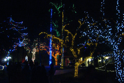 Zoo Lights