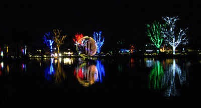 Zoo Lights
