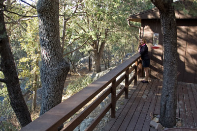 Deck overlooks the creek