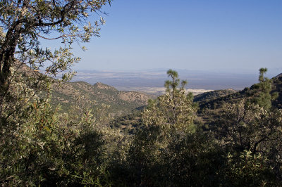 Green Valley