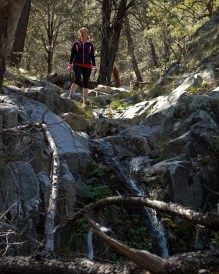 Trailside creek