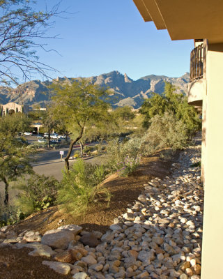 Westin La Paloma resort