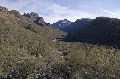 Bear Canyon