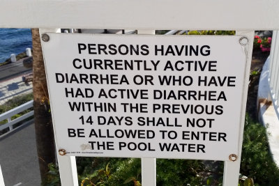 wtf