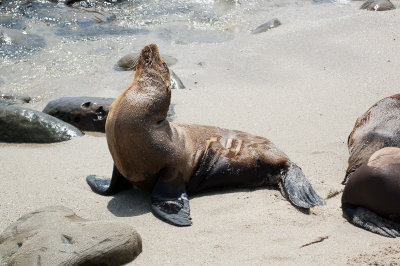 Sunbathing
