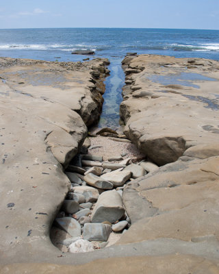 Tidepool shapes