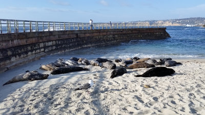 San Diego - July 2016