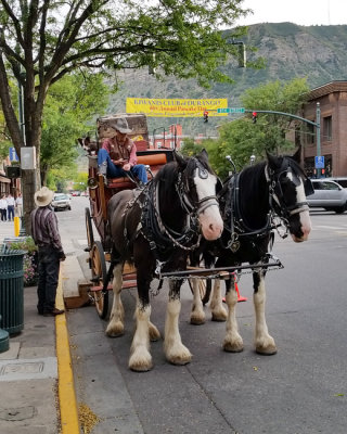 Stagecoach downtown