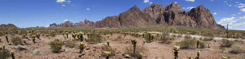 Kofa Front Range_Panorama2_c.jpg