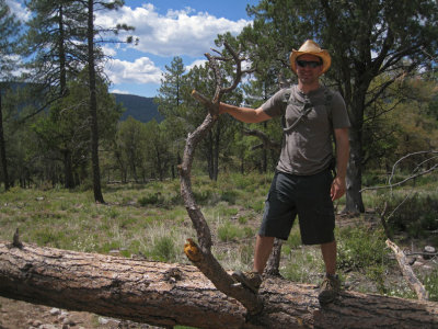 Dave on a log