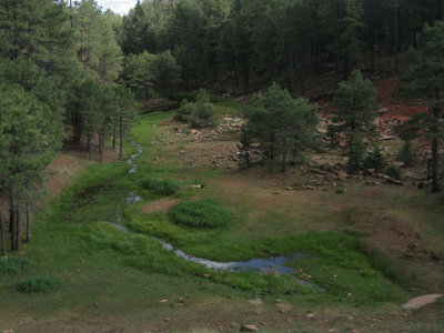 Creek confluence behind the dam