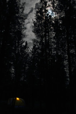 Tent below the tall pines below the full moon