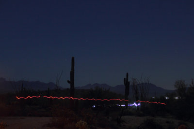 Lights from runners on the trail