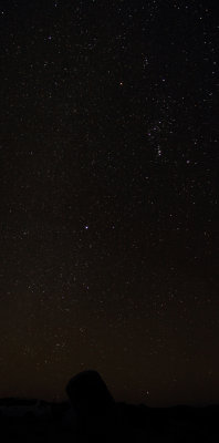 Orion-Canus Major panorama