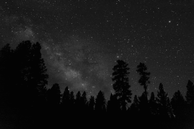 Nat'l Forest Milky Way timelapse