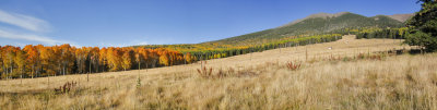 Hart  Prairie Panorama