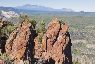 View from highest point looking towards San Francisco Peaks