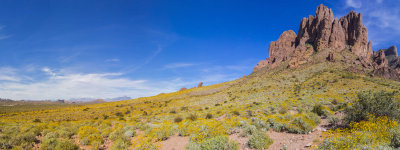Flanks of the Superstitions