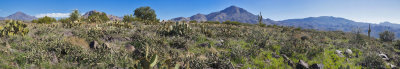 S Mesa_Pano1_c.jpg