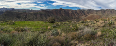 North Mesa_Pano3_c.jpg
