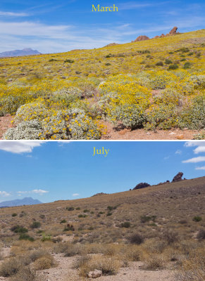 Siphon Bajada March vs July.jpg