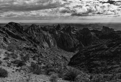 _MG_0028_proc_bw_c.jpg