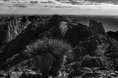_MG_0037_proc_bw_c.jpg