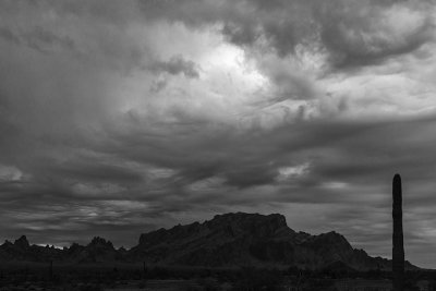 _MG_0131_proc_bw_c.jpg