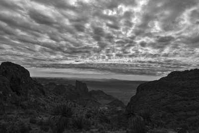 _MG_9986_proc_bw_c.jpg
