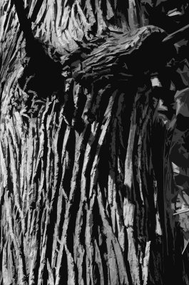 tree 0