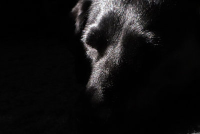 Post Play Ellie.jpg