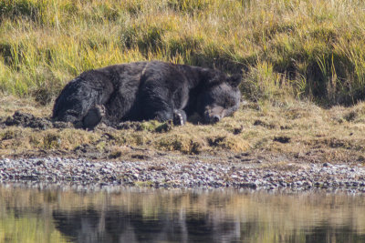 Wyoming 2012-4352.jpg