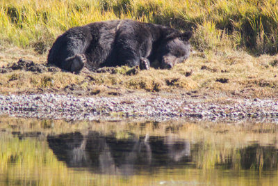 Wyoming 2012-4357.jpg