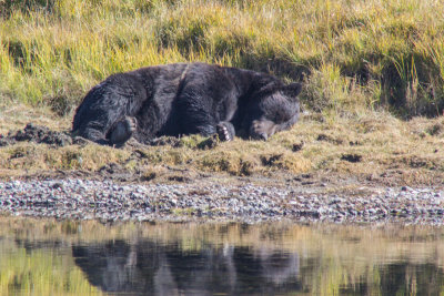 Wyoming 2012-4360.jpg