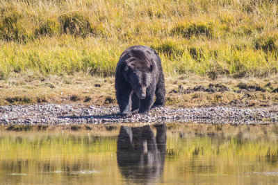 Wyoming 2012-4374.jpg