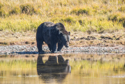 Wyoming 2012-4381.jpg