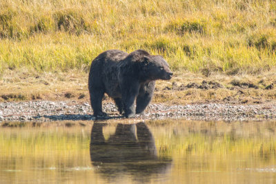 Wyoming 2012-4386.jpg