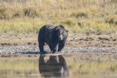 Wyoming 2012-4405.jpg