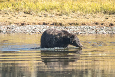 Wyoming 2012-4423.jpg