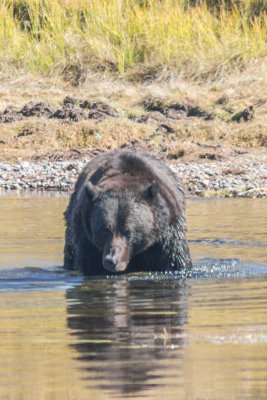 Wyoming 2012-4537.jpg