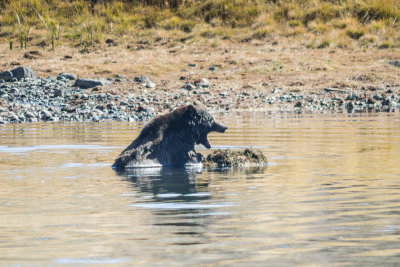 Wyoming 2012-4657.jpg