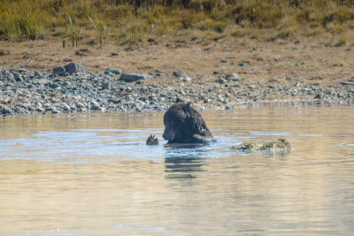 Wyoming 2012-4674.jpg
